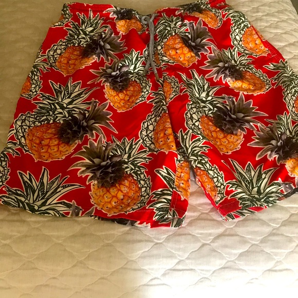 Vilebrequin Other - VILEBREQUIN SWIM TRUNKS